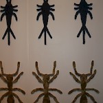'Space Invaders (dust mite, Argentine ant, silverfish)' by Dean Chatwin
